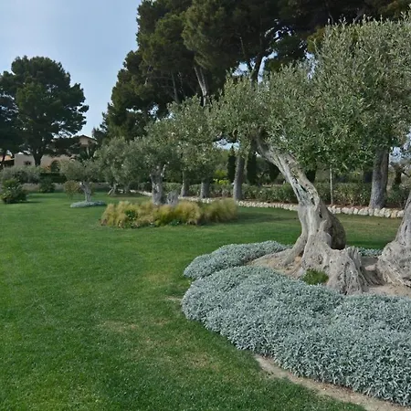 Terra Del Sole 10&2, Emma
